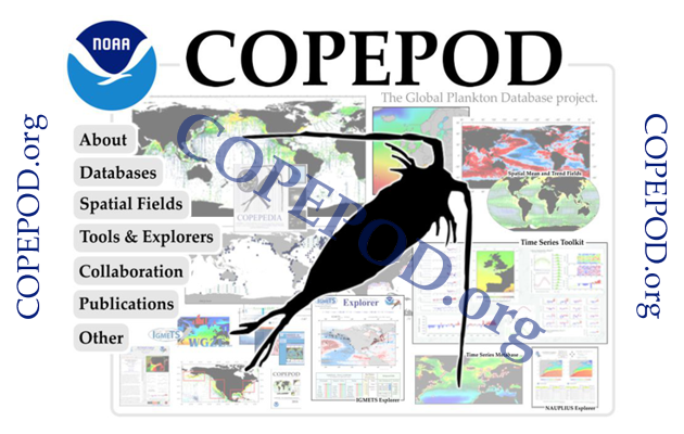 screen shot of the COPEPOD intro page